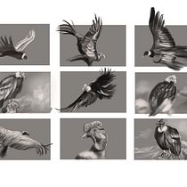 My project for course: Naturalist Animal Illustration with Procreate. Un proyecto de Ilustración tradicional, Ilustración digital, Dibujo realista e Ilustración naturalista				 de MARIO GONZALEZ - 02.07.2023
