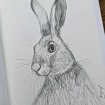 My project for course: Naturalistic Animal Drawing with Graphite Pencil. Ilustração tradicional, Desenho a lápis, Desenho e Ilustração naturalista projeto de Anna Avigad - 03.07.2023