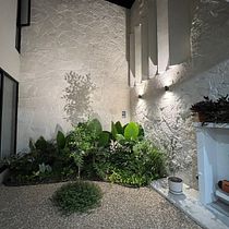 Mi proyecto del curso: Diseño de espacios verdes para tu casa. L, scape Architecture, Floral, Plant Design, and Spatial Design project by Antonio Silva H - 05.22.2023