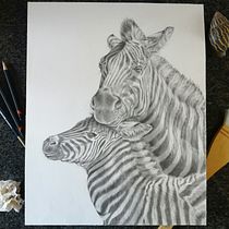 My project for course: Naturalistic Animal Drawing with Graphite Pencil. Traditional illustration, Pencil Drawing, Drawing, and Naturalistic Illustration project by Sandra Meyer - 07.05.2023