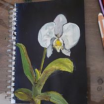 My project for course: Expressive Floral Painting with Acrylic Paint. Fine Arts, Painting, Acr, lic Painting, and Botanical Illustration project by louiseguillemette - 07.05.2023