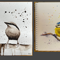 My project for course: Artistic Watercolor Techniques for Illustrating Birds. Traditional illustration, Watercolor Painting, Realistic Drawing, and Naturalistic Illustration project by ag.fisiak - 07.07.2023