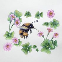 Mi proyecto del curso: Dibujo y composición naturalista en acuarela. Traditional illustration, Drawing, Watercolor Painting, and Naturalistic Illustration project by Miriam JT - 07.07.2023