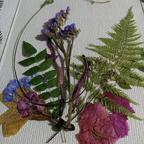 Mi proyecto del curso: Técnicas básicas de prensado botánico. Un progetto di Artigianato, Belle arti, Collage, DIY e Design floreale e vegetale di CANDI NAJERA TUCTO - 07.07.2023