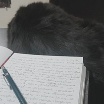 Meu projeto do curso: Exercícios de escrita: da folha em branco à prática cotidiana. Un projet de Écriture, Créativité, Stor, telling, Narration , et Écriture créative de Tielle Soares - 07.07.2023