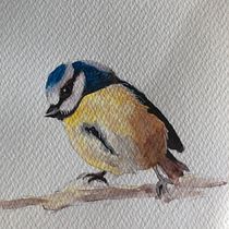 My project for course: Artistic Watercolor Techniques for Illustrating Birds. Traditional illustration, Watercolor Painting, Realistic Drawing, and Naturalistic Illustration project by Ellen Johnson - 07.08.2023