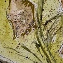 My project for course: Illustrating Nature with Watercolor and Pen. Traditional illustration, Fine Arts, Painting, Drawing, Watercolor Painting, and Botanical Illustration project by Patricia Czichos - 07.08.2023