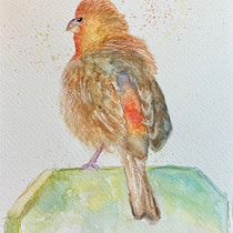 My project for course: Artistic Watercolor Techniques for Illustrating Birds. Traditional illustration, Watercolor Painting, Realistic Drawing, and Naturalistic Illustration project by Cintia Campos - 07.09.2023