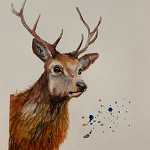 My project for course: Expressive Animal Portraits in Watercolor. Un projet de Illustration traditionnelle, Dessin réaliste et Illustration naturaliste de timandtonifisher - 09.07.2023