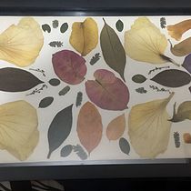 Mi proyecto del curso: Técnicas básicas de prensado botánico. Un proyecto de Artesanía, Bellas Artes, Collage, DIY, Diseño floral y vegetal de icanoplazas - 01.12.2023
