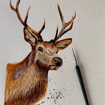 Mein Abschlussprojekt für den Kurs: Ausdrucksstarke Tierporträts in Aquarell. Un projet de Illustration traditionnelle, Aquarelle, Dessin réaliste et Illustration naturaliste de michaela_lammers1972 - 04.07.2023