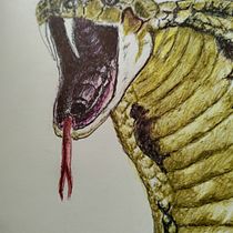 Mi proyecto del curso: Ilustración en sketchbook con bolígrafo: disfruta dibujando. Esboçado, Desenho, Sketchbook e Ilustração com tinta projeto de Alfredo Lopez Lujan - 11.07.2023