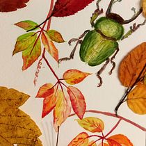 Mein Abschlussprojekt für den Kurs: Botanische Aquarellmalerei von Naturmotiven . % a. kai. tarafından hazırlanan Güzel sanatlar, Tablo, Sulubo, a Resim, Botanik İllüstras, on, Doğalcı İllüstras, Ve on projesi - 07.11.2023