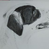 Mein Abschlussprojekt für den Kurs: Tiere zeichnen mit Kohle und Tusche. Artes plásticas, Desenho, Ilustração com tinta e Ilustração naturalista projeto de a. kai. - 11.07.2023