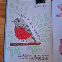 Mi proyecto del curso: Diario ilustrado: una práctica diaria y consciente. Fine Arts, Sketching, Creativit, Drawing, and Sketchbook project by nataliapizarrotello79 - 07.11.2023