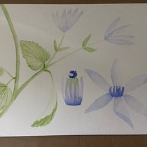 Il mio progetto del corso: Illustrazione botanica con acquerello. Traditional illustration, Fine Arts, Painting, Drawing, Watercolor Painting, and Botanical Illustration project by Lucia Barbo - 07.13.2023