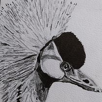 My project for course: Artistic Watercolor Techniques for Illustrating Birds. Traditional illustration, Watercolor Painting, Realistic Drawing, and Naturalistic Illustration project by Adeline Cartier - 07.14.2023