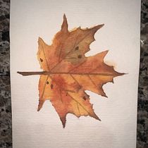Meu projeto do curso: Ilustração de elementos naturais em aquarela. Un progetto di Illustrazione tradizionale, Pittura ad acquerello e Illustrazione naturalistica di Barbara Rigons - 15.07.2023