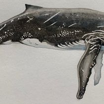 My project for course: Naturalist Illustration Techniques: Whales in Watercolor. Un progetto di Belle arti, Pittura, Pittura ad acquerello e Illustrazione naturalistica di Sarah Cowan - 13.07.2023