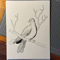 My project for course: Realistic Illustration of Birds with Imaginative Elements. Pencil Drawing, Drawing, Ink Illustration, and Naturalistic Illustration project by rephrayzer - 07.16.2023