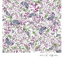 Mein Abschlussprojekt für den Kurs: Digitale Illustration von nahtlosen Mustern mit Naturmotiven. Un progetto di Illustrazione tradizionale, Pattern design, Disegno, Illustrazione digitale e Illustrazione botanica di karinhoffmeister - 17.07.2023