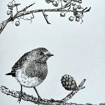 Mein Abschlussprojekt für den Kurs: Realistische Vogel-Illustration mit phantasievollen Elementen. Pencil Drawing, Drawing, Ink Illustration, and Naturalistic Illustration project by henrikeboedler - 07.17.2023