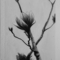 Meu projeto do curso: Introdução à ilustração com tinta nanquim. Ilustração tradicional, Artes plásticas, Desenho e Ilustração com tinta projeto de Ketrin Z. Guimarães - 17.07.2023