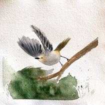 Mon projet du cours : Aquarelles naturalistes expressives avec du caractère. Traditional illustration, Watercolor Painting, and Naturalistic Illustration project by Marika Corboz - 07.17.2023