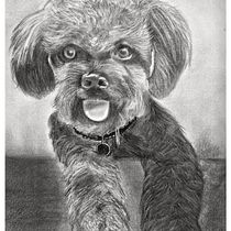 Mi proyecto del curso: Ilustración de animales con carboncillo y tinta. Artes plásticas, Desenho, Ilustração com tinta e Ilustração naturalista projeto de Igor Seva Conde - 18.07.2023