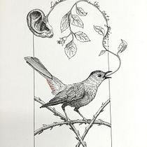 My project for course: Realistic Illustration of Birds with Imaginative Elements. Pencil Drawing, Drawing, Ink Illustration, and Naturalistic Illustration project by Ellyn Gaspardi - 07.21.2023