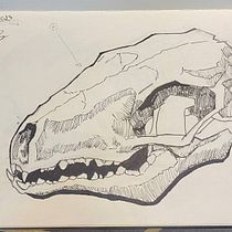 My project for course: Daily Sketching for Creative Inspiration. Traditional illustration, Sketching, Creativit, Drawing, and Sketchbook project by wellm6519 - 06.28.2023
