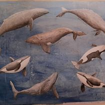 Il mio progetto del corso: Tecniche di illustrazione naturalistica: balene ad acquerello. Un progetto di Belle arti, Pittura, Illustrazione naturalistica e Pittura ad acquerello di manuelavaccari1 - 19.07.2023