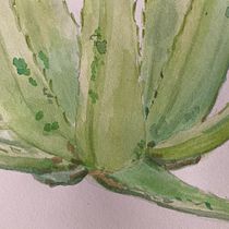Mi proyecto del curso: Cuaderno de viaje ilustrado: registra la naturaleza. Pencil Drawing, Drawing, Watercolor Painting, Sketchbook, and Naturalistic Illustration project by Mar Requena - 08.24.2023