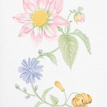 Mi proyecto del curso: Acuarela realista para composiciones botánicas. Un projet de Illustration traditionnelle, Peinture, Dessin, Aquarelle et Illustration botanique de Susana Jaramillo - 25.07.2023