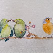 My project for course: Artistic Watercolor Techniques for Illustrating Birds. Traditional illustration, Watercolor Painting, Realistic Drawing, and Naturalistic Illustration project by giuseppe_m - 07.26.2023