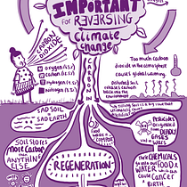 My project for course: Sketchnoting 101: Drawing as a Communication Tool. Projekt z dziedziny Trad, c, jna ilustracja, Doradztwo kreat, wne, T, pografia, Kreat, wność,  R, sunek, Zarządzanie portfolio, Komunikacja,  Pismo dekorac i jne użytkownika alexcrisp91 - 27.07.2023
