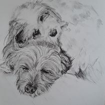 My project for course: Animal Illustration with Charcoal and Ink. Artes plásticas, Desenho, Ilustração com tinta e Ilustração naturalista projeto de deborahwatts - 27.07.2023