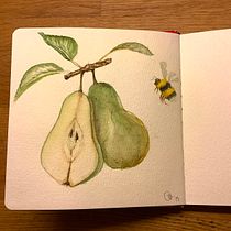 My project for course: Realistic Botanical Illustration: Escape to Nature. Painting, Watercolor Painting, Botanical Illustration, and Naturalistic Illustration project by Marie Junde - 07.27.2023