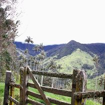 Mi proyecto del curso: Fotografía de viajes y lifestyle. Een project van Fotografie, Buitenfotografie, Lifest y le fotografie van admonghfp2021 - 26.07.2023