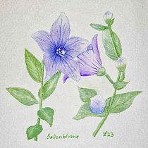 Mein Abschlussprojekt für den Kurs: Realistische botanische Illustration: Finde Zuflucht in der Natur. Painting, Watercolor Painting, Botanical Illustration, and Naturalistic Illustration project by Ulrich Ludwig - 07.28.2023