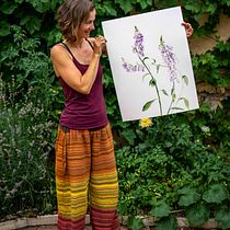 My project for course: Realistic Botanical Illustration: Escape to Nature. Painting, Watercolor Painting, Botanical Illustration, and Naturalistic Illustration project by Zuzana Zachová - 07.28.2023