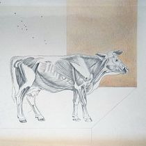 Mi proyecto del curso: Bos taurus. Traditional illustration, Pencil Drawing, Drawing, Artistic Drawing, Naturalistic Illustration, and Colored Pencil Drawing project by Manuel Jesús Palacios Benavente - 07.28.2023