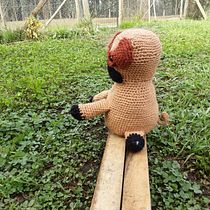 Carlino en el campo Ein Projekt aus dem Bereich Spielzeugdesign, Weben, Crochet, Amigurumi und Textildesign von jessyaliagarojas - 28.07.2023