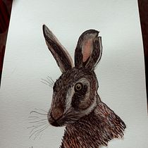 Mi proyecto del curso: Técnicas experimentales de acuarela para principiantes. Traditional illustration, Fine Arts, Watercolor Painting, and Naturalistic Illustration project by Concepción Gallardo Florido - 07.29.2023