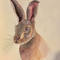 Mi proyecto del curso: Técnicas experimentales de acuarela para principiantes. Traditional illustration, Fine Arts, Watercolor Painting, and Naturalistic Illustration project by Paula M. Lira Eyzaguirre - 07.29.2023