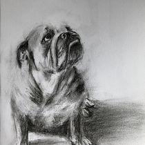 Mijn project van de cursus: Leer dieren illustreren met houtskool en inkt. Artes plásticas, Desenho, Ilustração com tinta e Ilustração naturalista projeto de m_vanschie - 31.07.2023