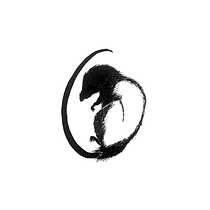 Reencarnación. Un progetto di Scrittura, Stor, telling e Narrativa di aniastorr - 30.07.2021