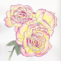 My project for course: Botanical Sketchbooking: A Meditative Approach. Ilustração tradicional, Esboçado, Desenho, Pintura em aquarela, Ilustração botânica, e Sketchbook projeto de alexanderfrankart - 28.07.2023
