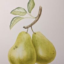 My project for course: Realistic Botanical Illustration: Escape to Nature. Painting, Watercolor Painting, Botanical Illustration, and Naturalistic Illustration project by katciaz - 07.30.2023