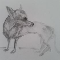 Leão de Judá: Desenho expressivo com carvão . Fine Arts, Drawing, Portrait Drawing, and Naturalistic Illustration project by Lourival Piligra - 07.21.2023